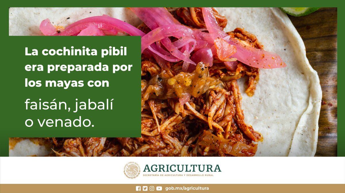 Secretaría de Agricultura sobre Cochinita Pibil