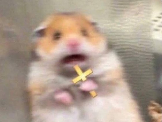 Simulacro Nacional 2025; memes