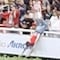 Chivas anda mal hasta en la tribuna; fan cae de las tribunas tras pifia del Chicharito