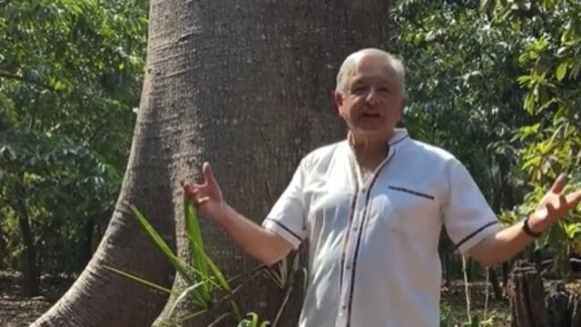 AMLO asegura que sus Mañaneras seguirán