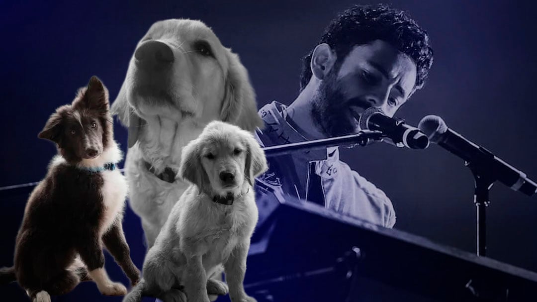Nala y Mila, las mascotas de Jonathan Meléndez: una murió y de la otra no se sabe