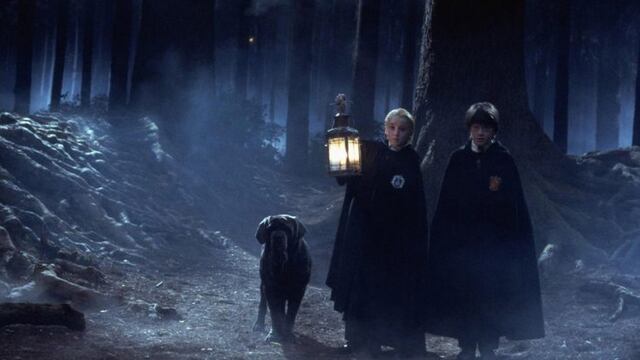 Bosque Prohibido Harry Potter