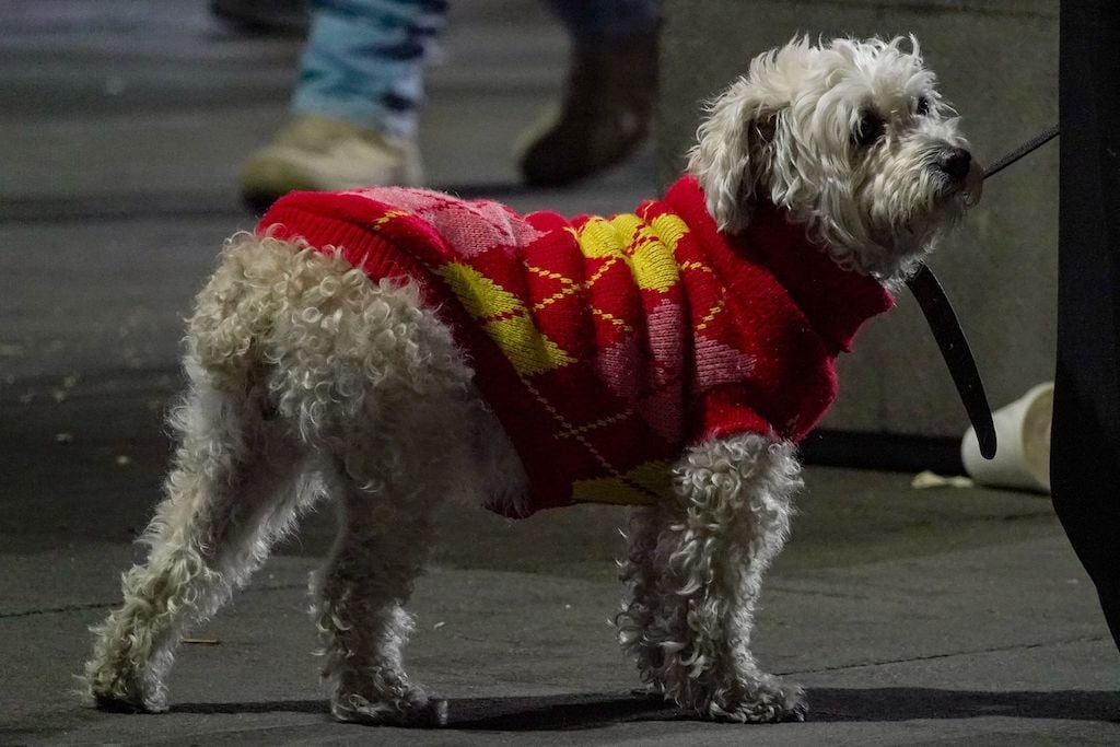 Continúan las bajas temperaturas