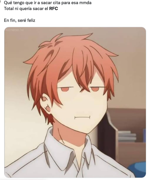 Memes sobre el RFC