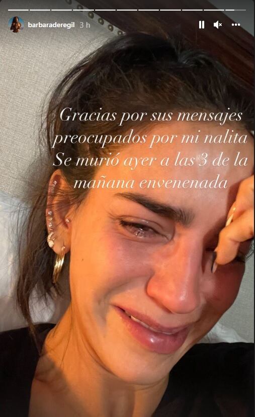 Bárbara de Regil desconsolada tras la muerte de su perrita luego de que la envenenaron