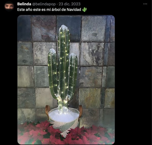 Belinda Nodal y sus referencias de cactus.