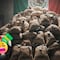 Pérdida por huachicol fiscal: 600 mil millones de pesos para el erario