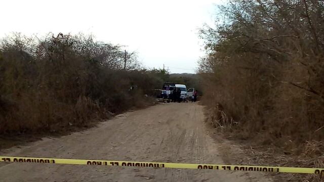 Este 30 de octubre se encontró una fosa más.