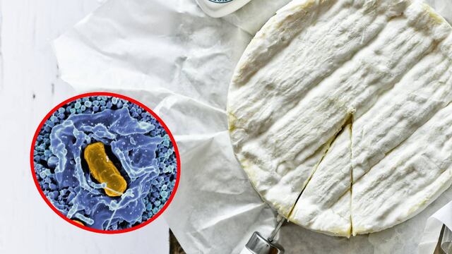 Estados Unidos retira quesos contaminados por riesgo de salmonela
