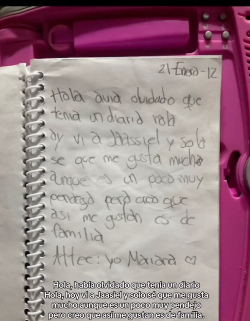 Diario de TikTok