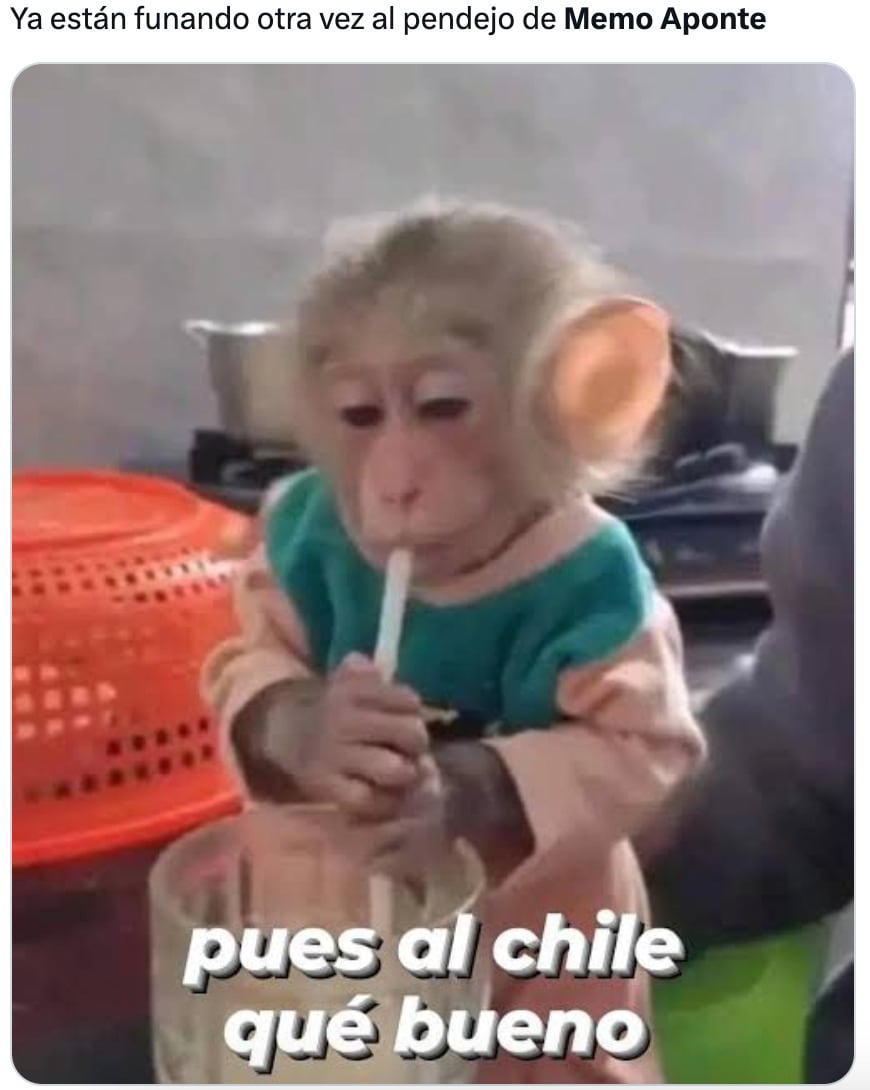 Memes funan a Memo Aponte tras lo revelado por sus ex novias con Un Tal Fredo