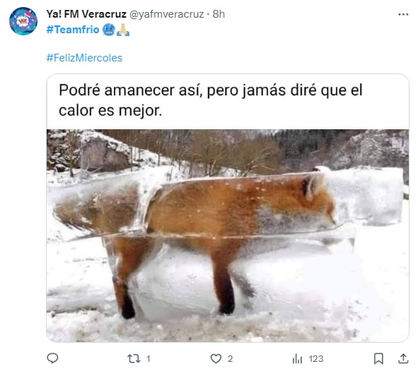 Team frío protagoniza memes por bajas temperaturas en CDMX