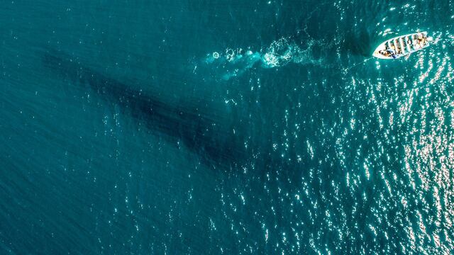 Polémica en torno al "Mar de Cortés" en Baja California Sur