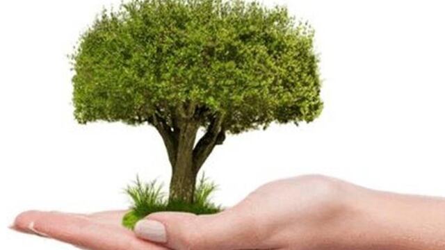 La Secretaría de Bienestar tiene en marcha el mencionado programa Sembrando Vidas, con el fin primordial de reforestar las tierras áridas del país e iniciar una recuperación del campo.