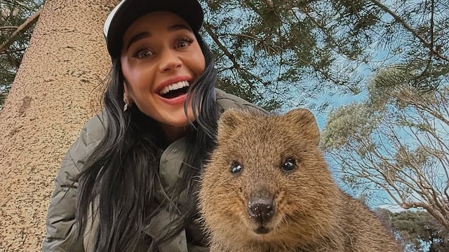 Katy Perry se acompañó de un quokka en Australia