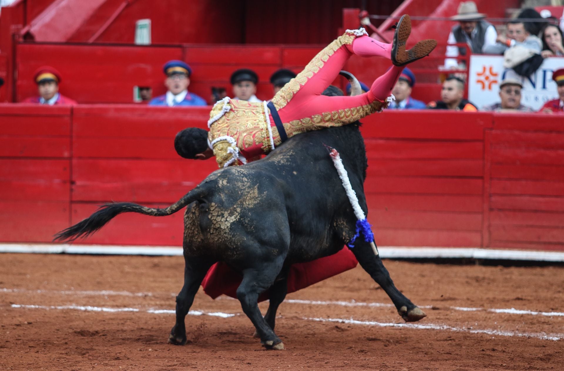 Héctor Gutiérrez sufre brutal cornada en la Plaza de Toros México
