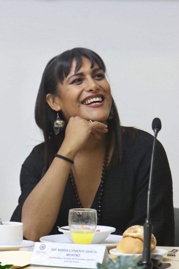 María Clemente, diputada federal de Morena