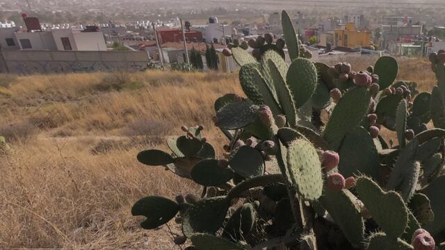 El pronóstico del tiempo para este jueves.