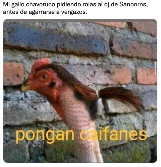 Memes sobre las peleas de gallo en Sanborns