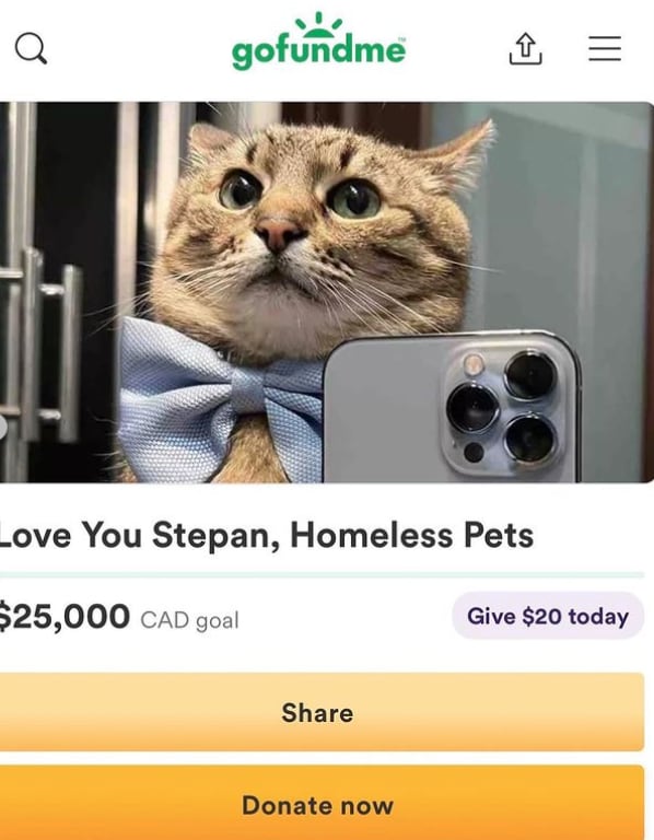 Stepan, gato ucraniano