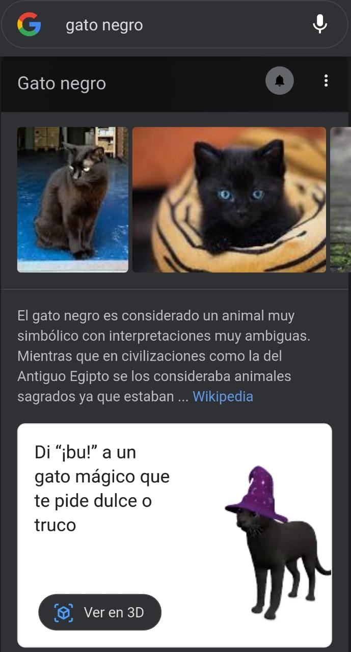 Gato en 3D