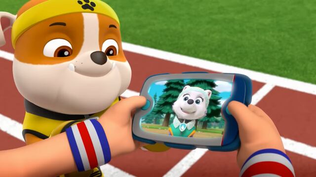 Rubble de Paw Patrol