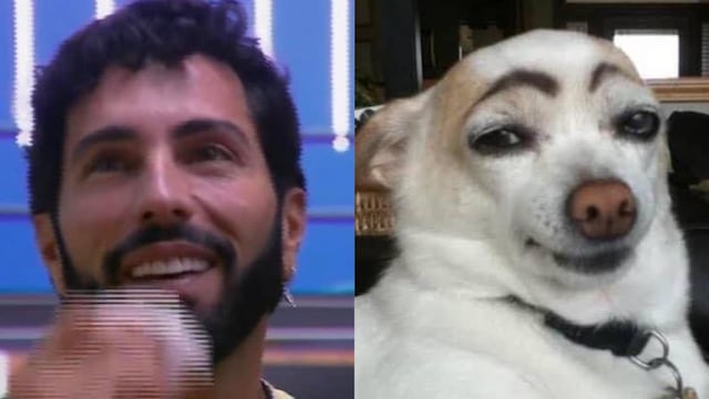 Poncho de Nigris y sus cejas desatan memes en redes sociales