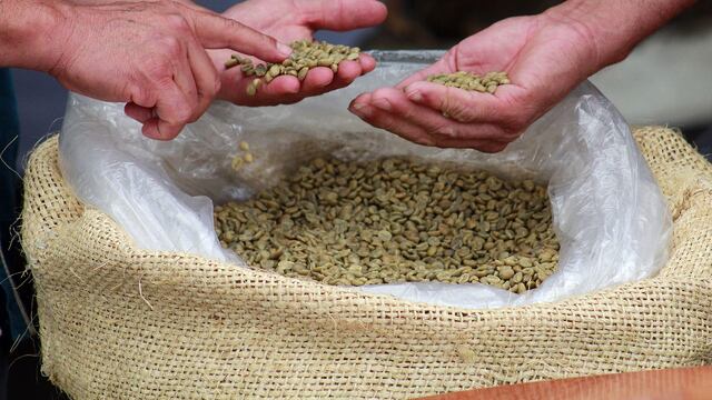 Café poblano se vende bien en una subasta