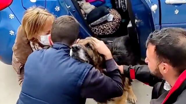 El perro Dico con sus dueños