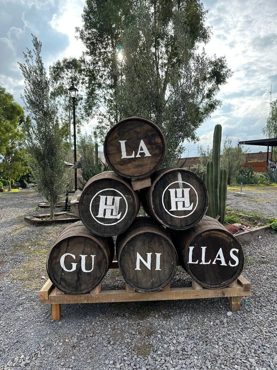 VENDIMIA 2023 EN QUERÉTARO