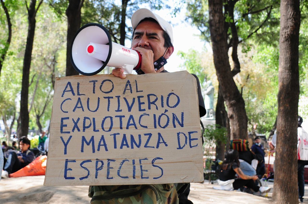 Marcha Bienestar Animal