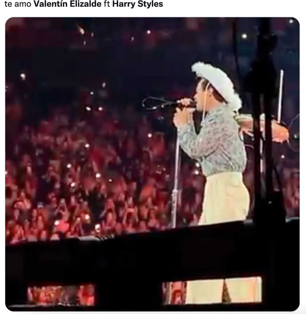 Memes de Harry Styles y Valentín Elizalde