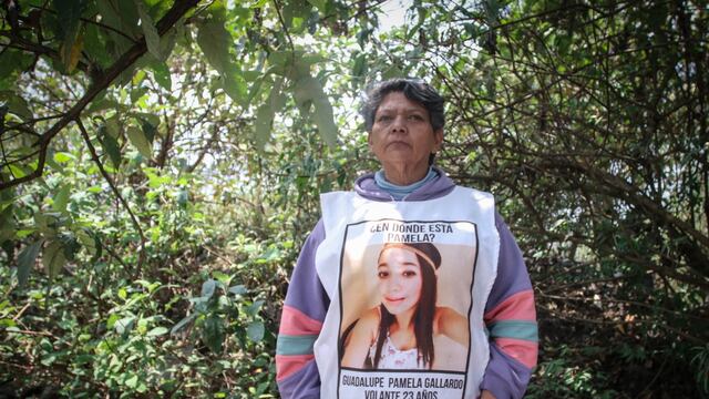 Guadalupe Pamela Gallardo: reanudan búsqueda de la joven