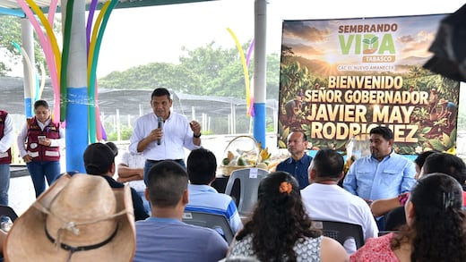 Javier May impulsa rescate del cacao en Tabasco con 100 módulos