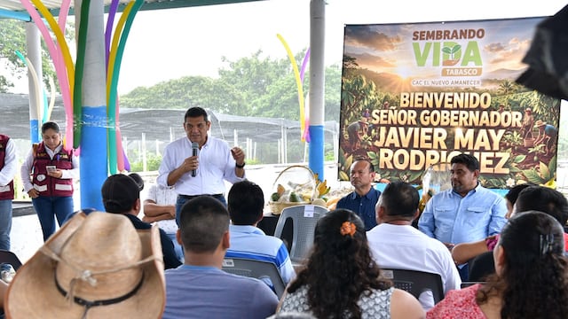 Tabasco instalará 100 módulos para mejorar el precio del cacao