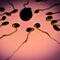 Crean nuevo método anticonceptivo no hormonal; anticuerpos que inmovilizan a los espermatozoides