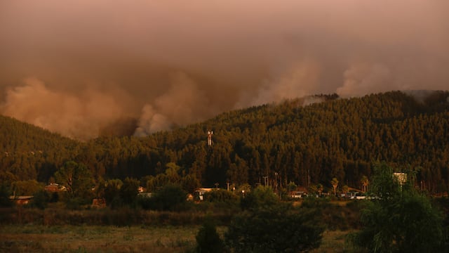 Incendios forestales en la comuna de Penco, Concepción en Chile
