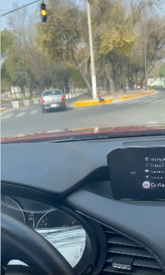 Captura de video de perrito abandonado en la CDMX