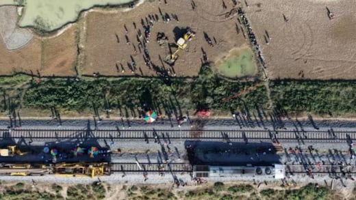 Tragedia en la India: tren arrolla y mata a siete elefantes