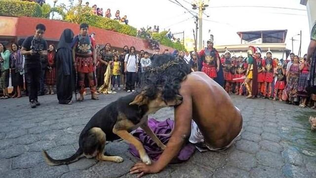 Perrito callejero protege y consuela a Jesús de Nazaret en viacrucis de Guatemala