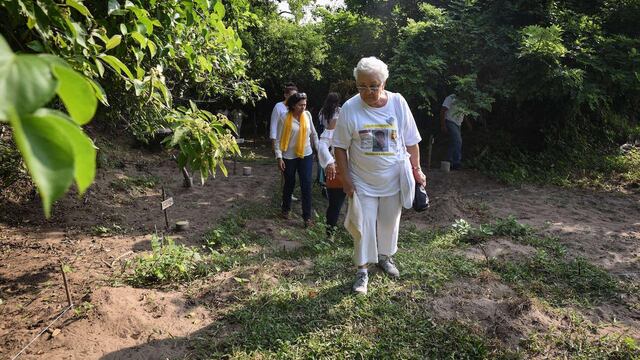 Colectivo Solecito finaliza búsqueda en fosas de Veracruz,