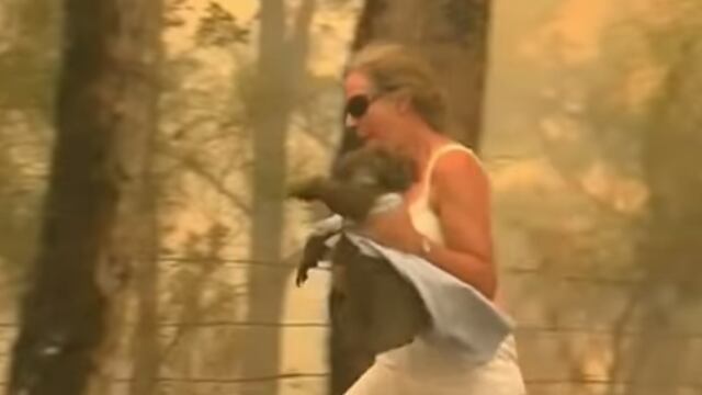 Se quitó la ropa para poder sostener al koala