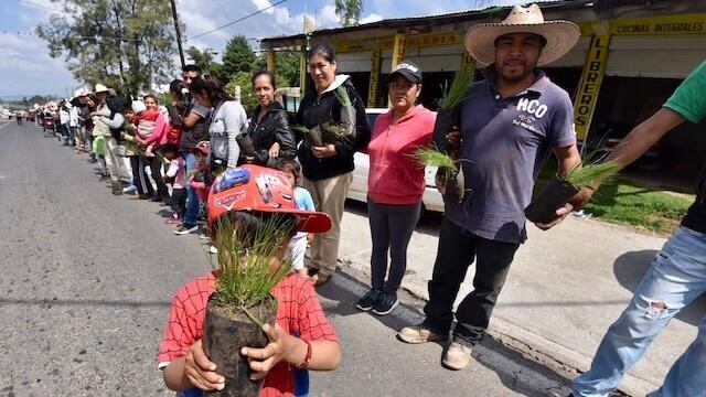 Cadena humana en Ocuilan para frenar tala ilegal de bosque de Lagunas de Zempoala
