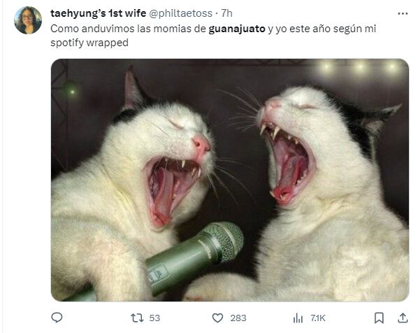 Guanajuato en Spotify Wrapped 2023