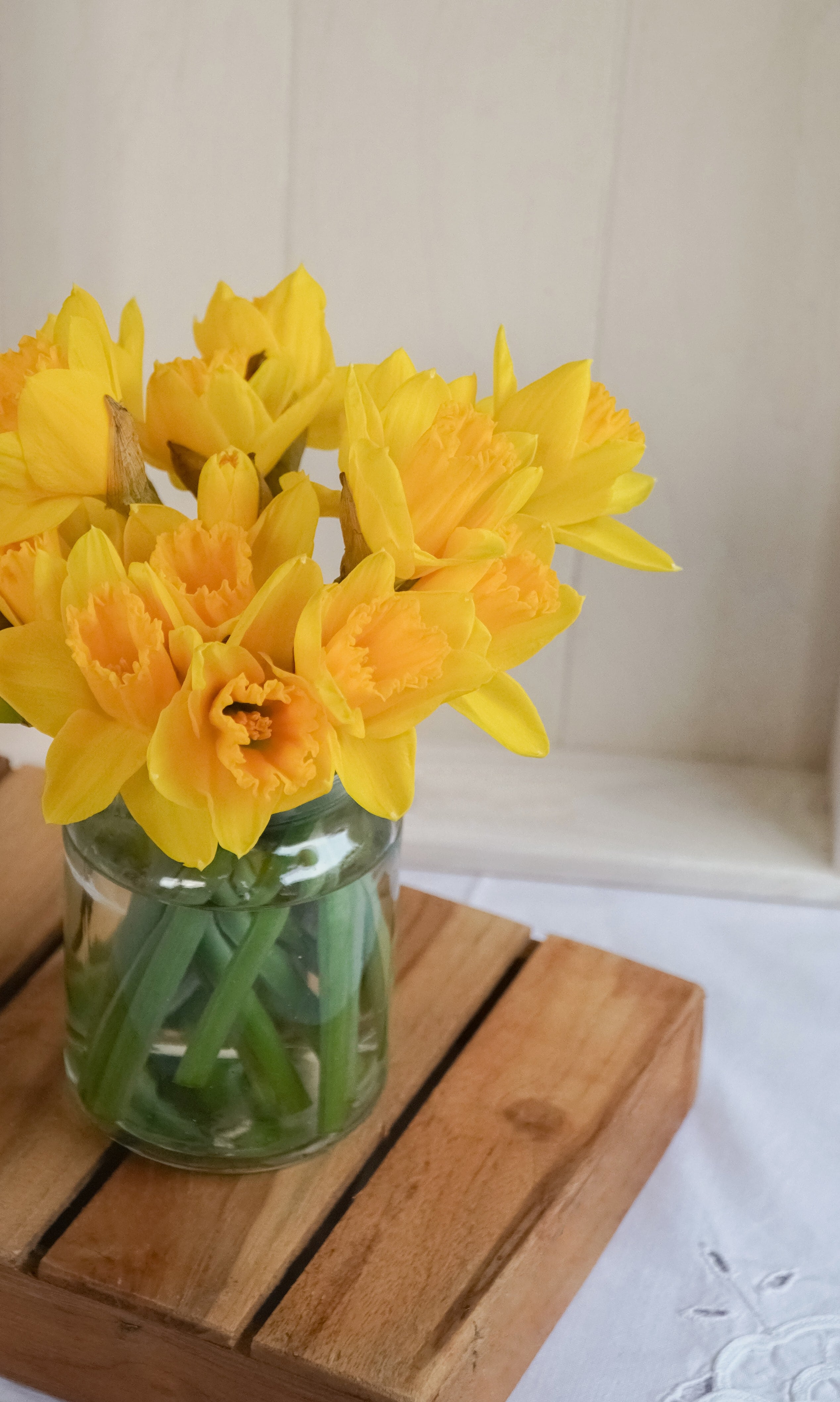 ¿Cuál es el origen de la tradición de regalar flores amarillas el 21 de marzo?