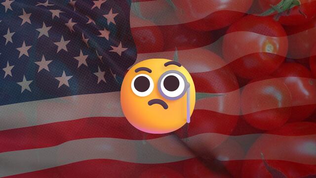 Jitomate mexicano es investigado en Estados Unidos por prácticas desleales.