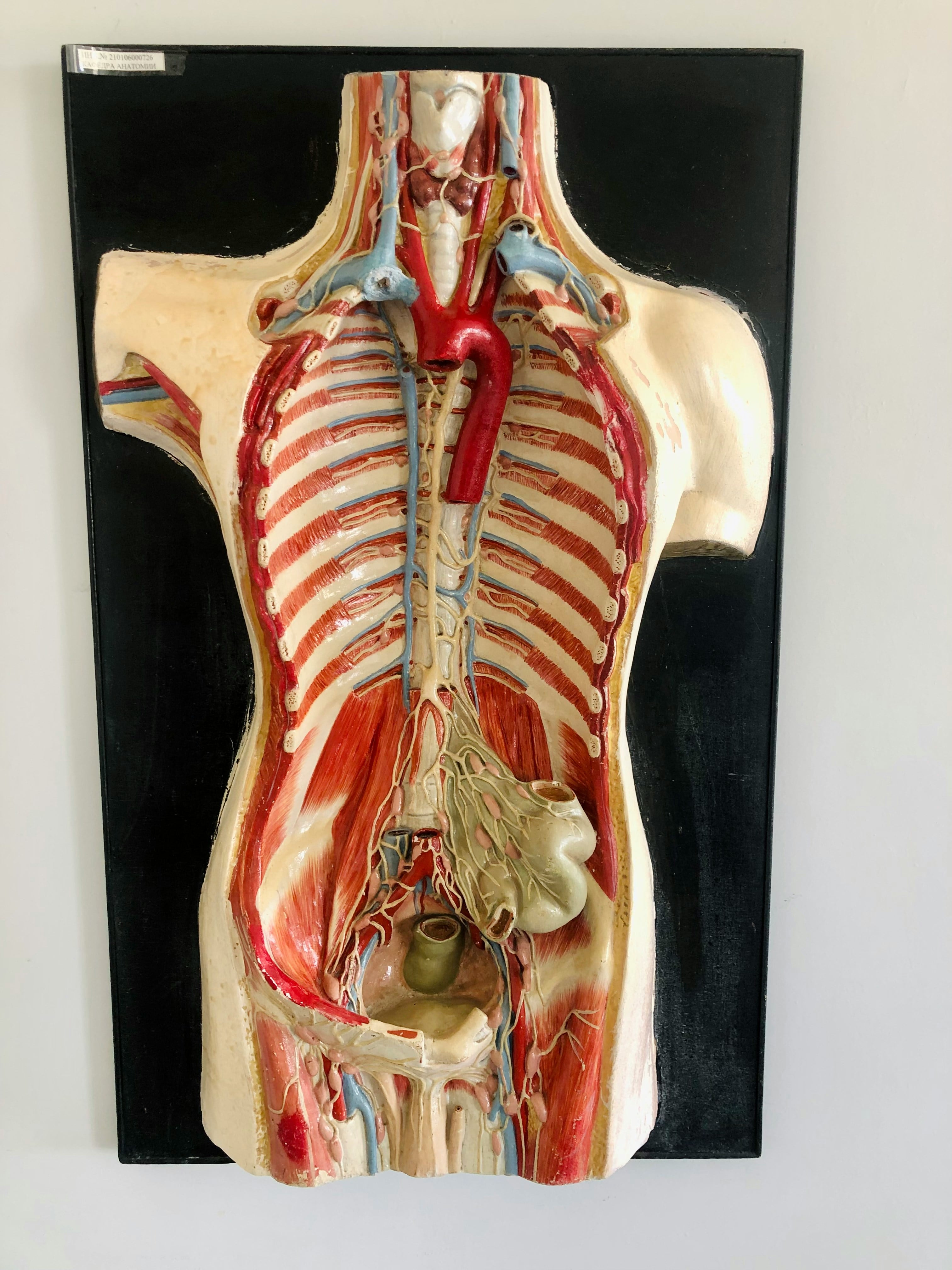 Este 24 de septiembre es el Día Mundial del Cáncer de Tiroides