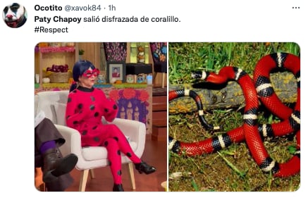 Memes de Paty Chapoy como Ladybug