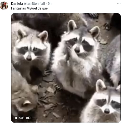 Memes de Fantasías Miguel por los conciertos de Taylor Swift en México