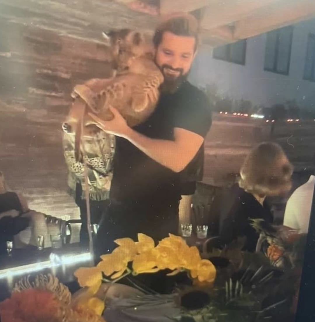 Sinan Tuna es el ciudadano turco que sería el duelo del cachorro de león que ingresó a una fiesta de Polanco